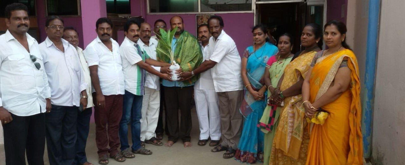 Brochure Banner